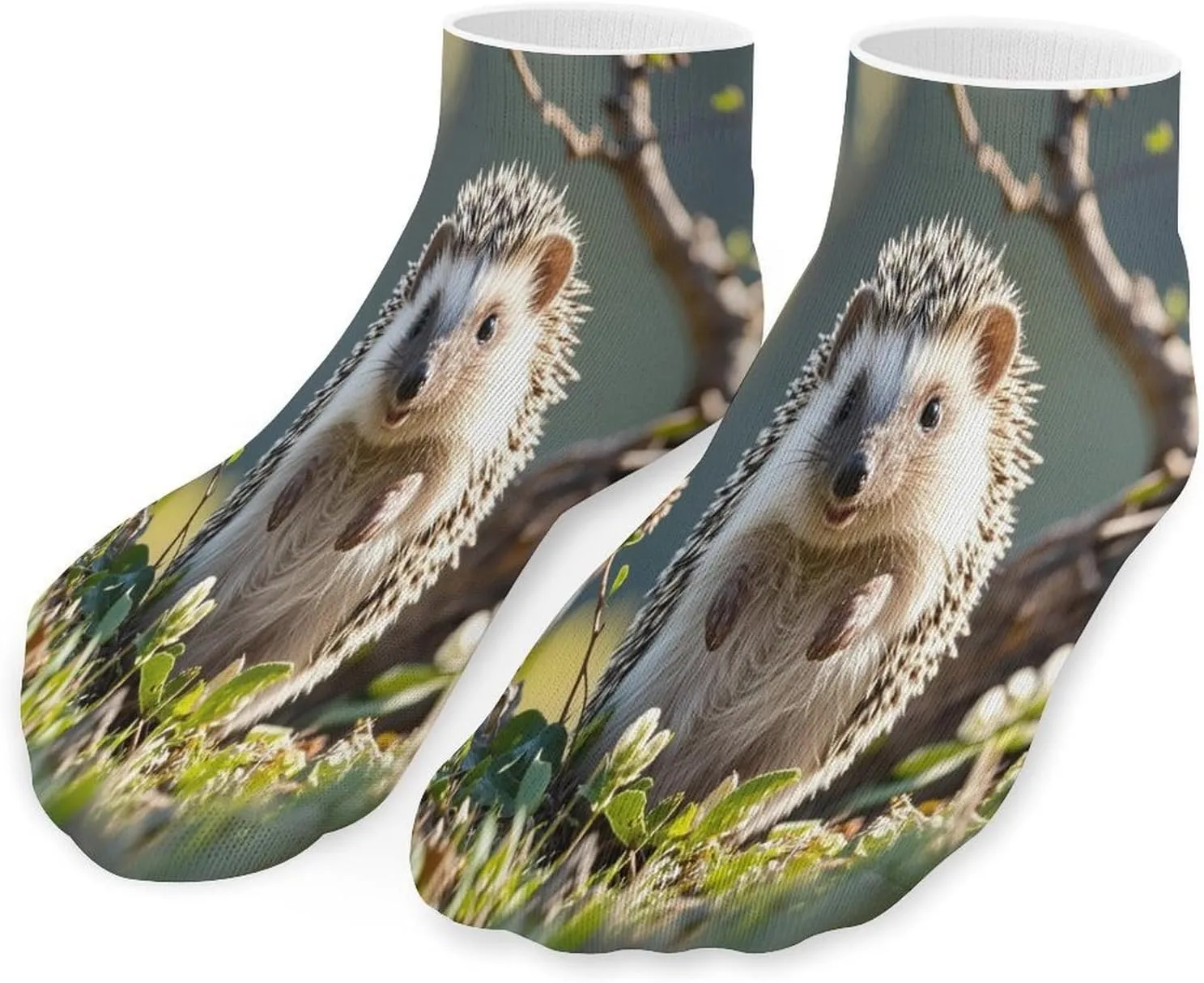 Lovely Hedgehog Socks Low Cut Ankle Short Sock Novelty Casual Invisible Liner Socks for Men Women